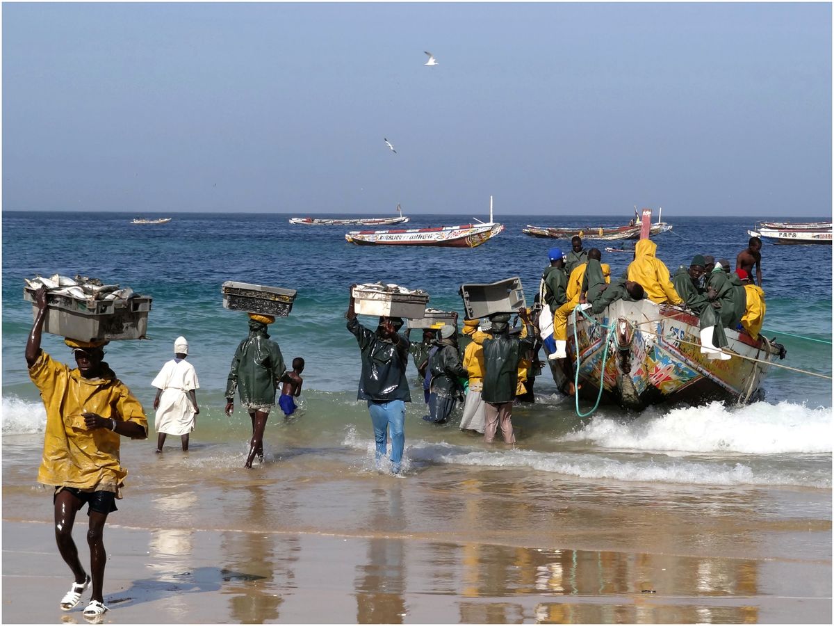 Senegal,dechargement du poisson a Kayar