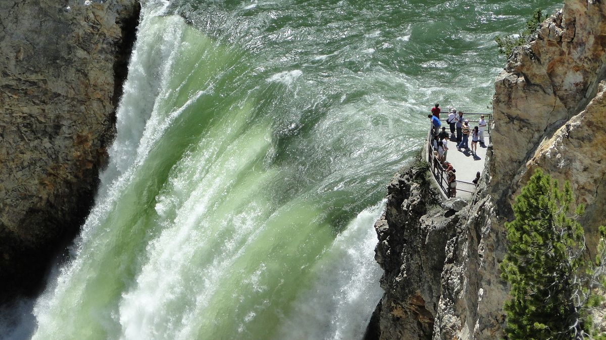 Am Yellowstone River