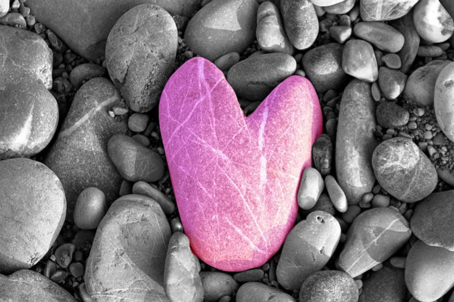 Photo competition - hearts main.jpg Photo competition - hearts main.jpg