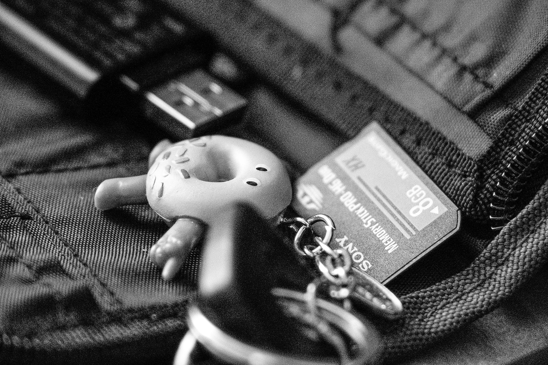 _DSC0404.jpg