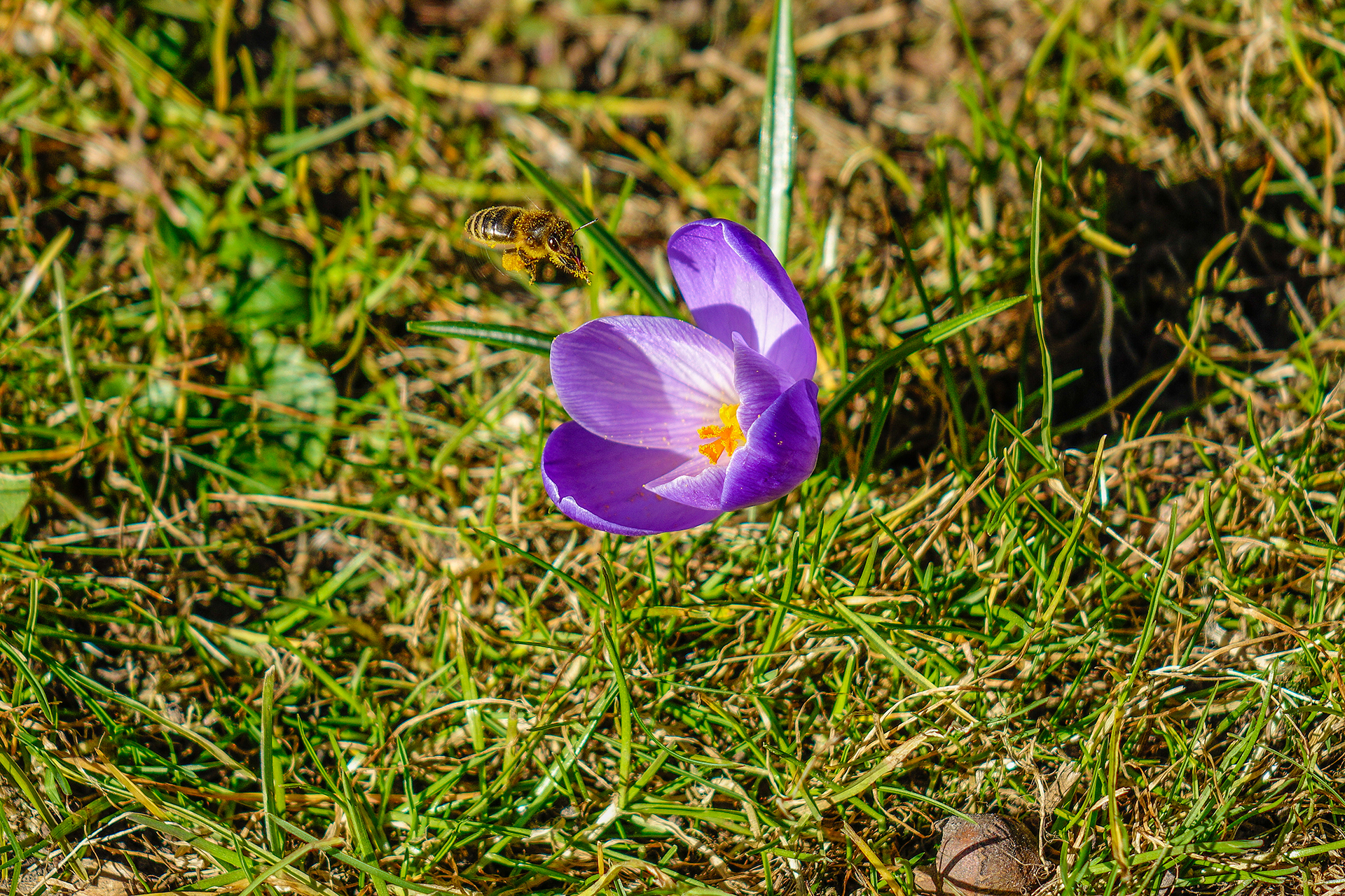 _DSC0803.jpg