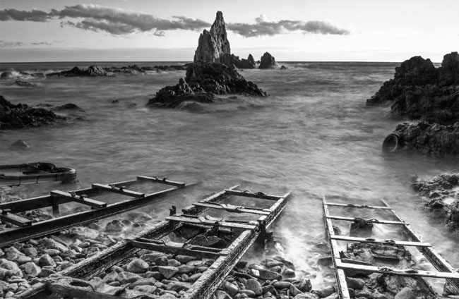 Winner_Image.jpg Winner_Image.jpg