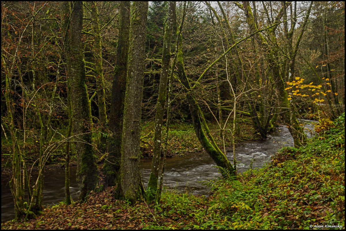 La Lienne