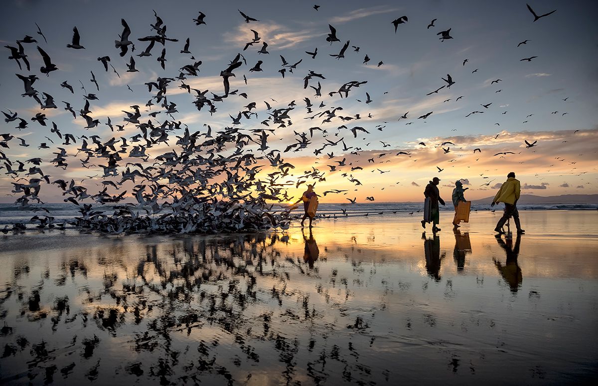 Arte Xávega na Costa de Caparica