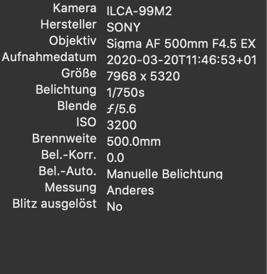 Dies sind die EXIF Daten zu den beiden Bildern.