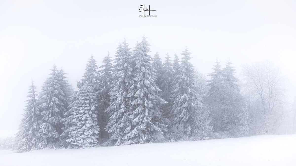 Wunderschöne Winterstimmung im Harz