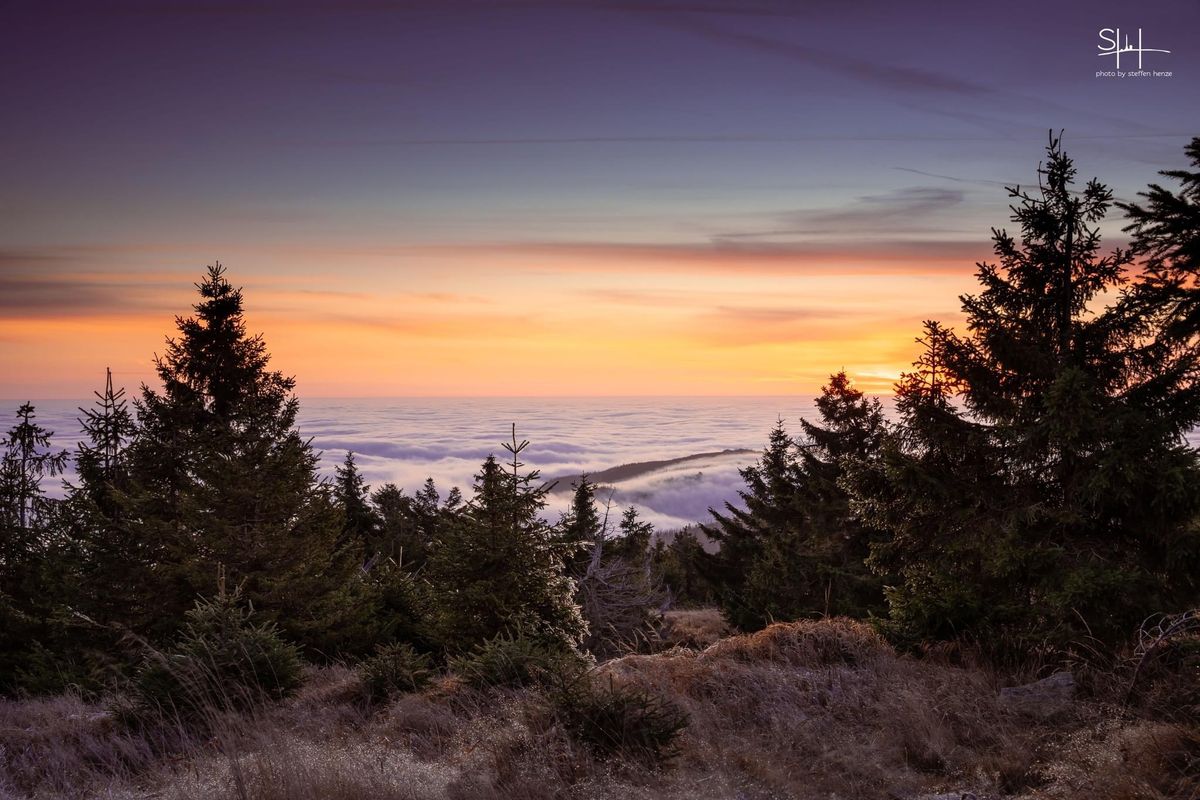 Inversionswetterlage im Harz