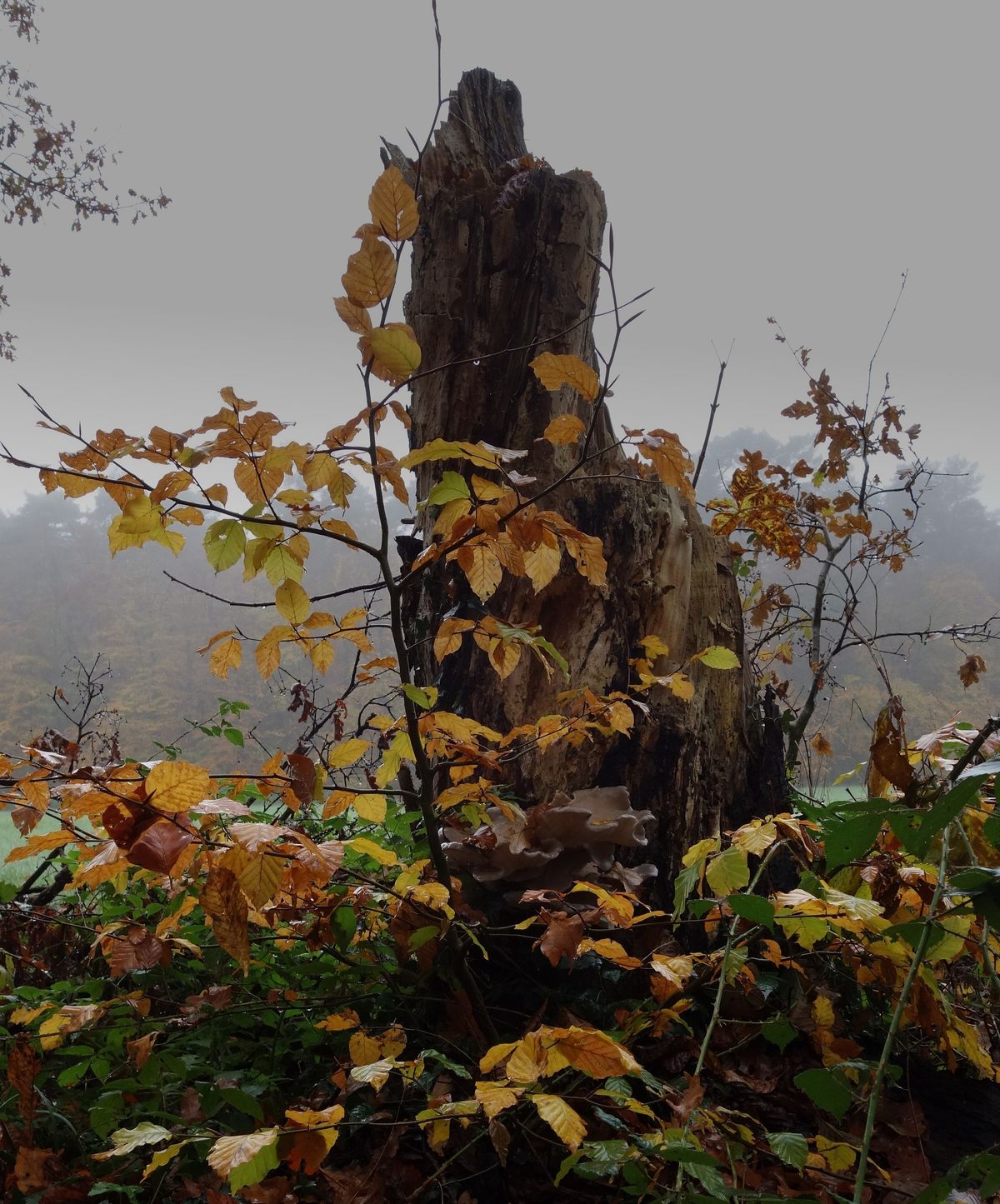 Wo etwas endet, kann auch Neues entstehen.