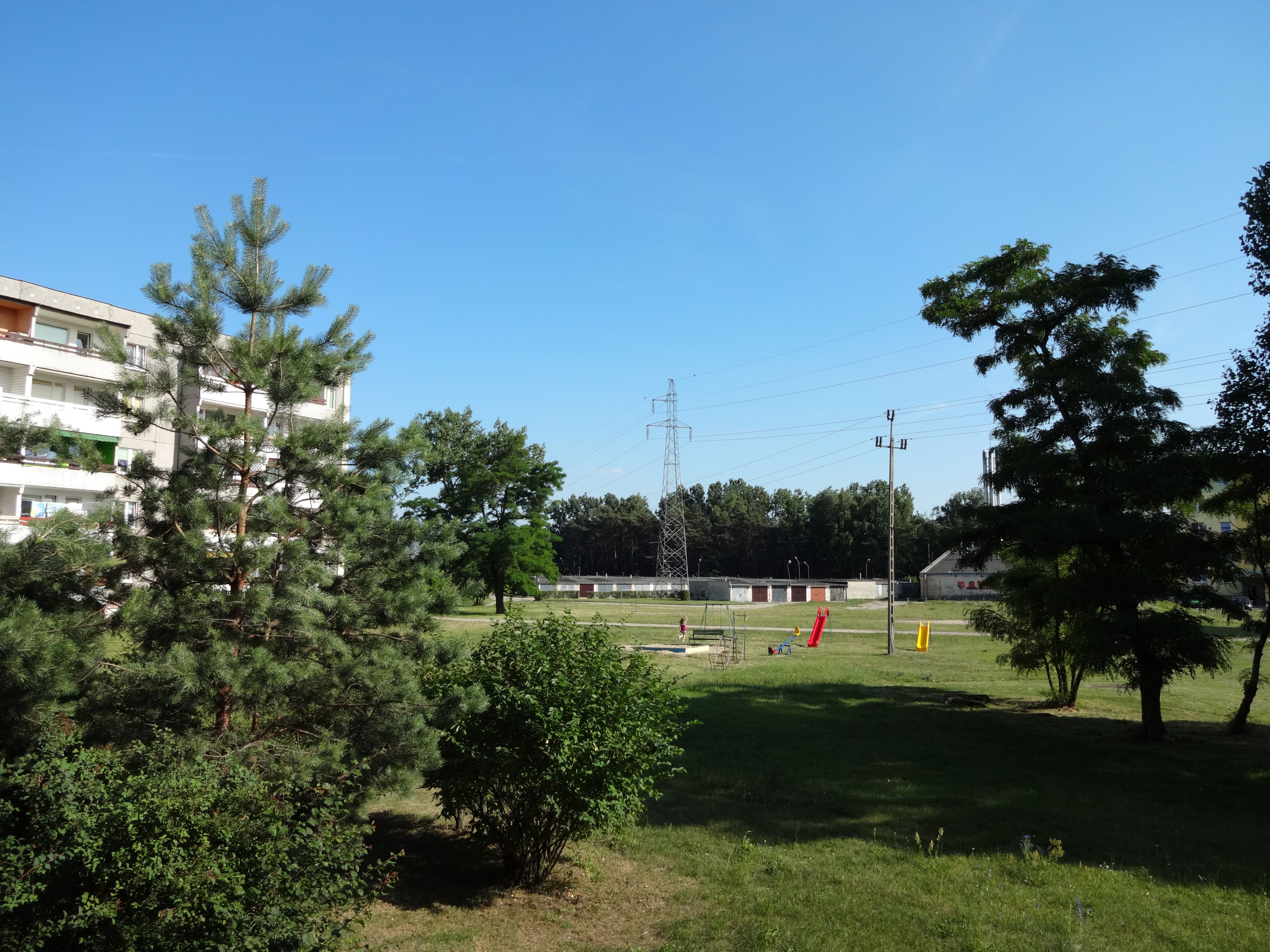 DSC040391.jpg
